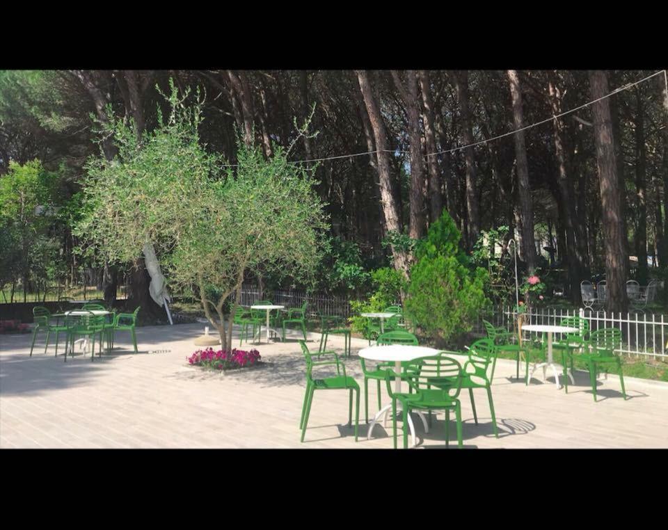 Holiday Home Pishat E Buta 28 Голем Екстер'єр фото